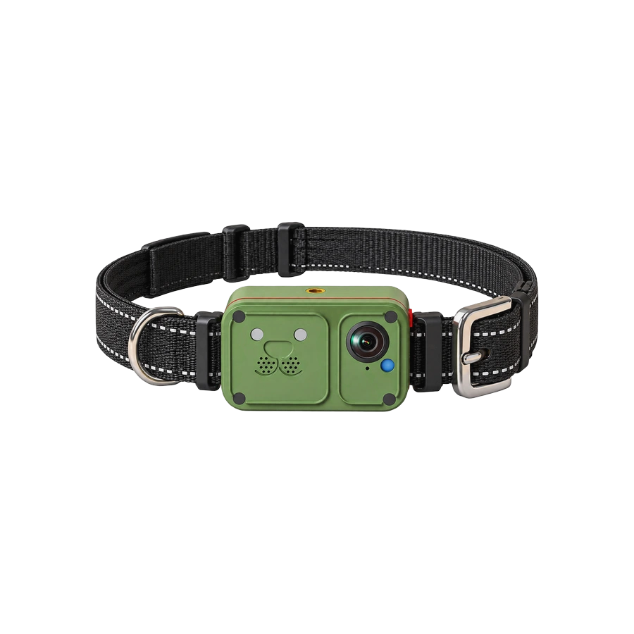 GPS pet location collar